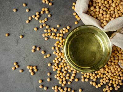 Crédito: jcomp - Freepik