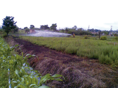 Propriedade visitada pelos alunos em Jundiapeba