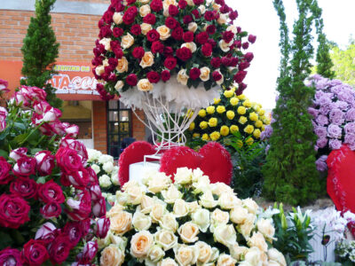 Crédito: felipelimasp