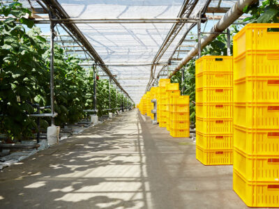 O agronegócio está no foco das discussões do 1º Fórum de Logistica | Foto: Pressfoto - Freepik