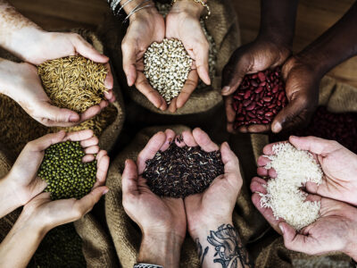 A variedade de sementes garante maior valor nutricional à mesa |Foto: Rawpixel.com - Freepik