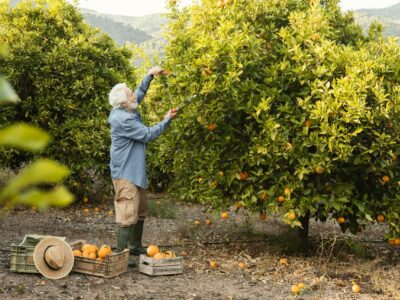 Para comemorar o Dia do Agricultor, a Etec Dona Sebastiana de Barros criou um evento anual com exposição, palestras e rodas de conversas | Foto: Freepik