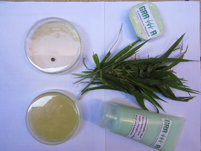 Antibiótico natural desenvolvido pela Etec Santo André - Foto: Divulgação