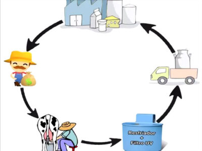 Produto de melhor qualidade aumenta renda do pequeno produtor de leite - Foto: Divulgação