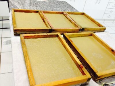 Alunos da Etec de Osvaldo Cruz transformam bagaço e palha da cana-de-açúcar em papel