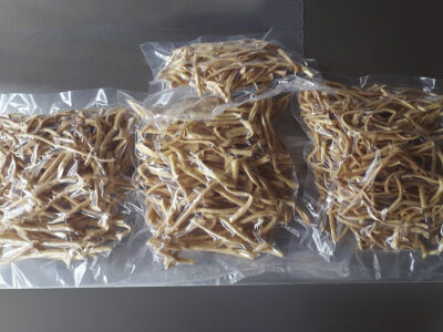 Criado à base de farinha de grão-de-bico, o macarrão instantâneo criado pelas alunas é uma alternativa nutritiva para os celíacos. | Foto: Divulgação