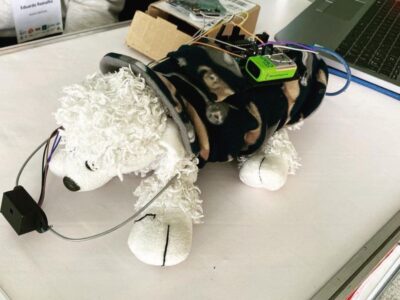 Projeto Pet-V auxilia o auto-adestramento de bichos de estimação e ajuda animal a viver com mais conforto | Foto: Divulgação