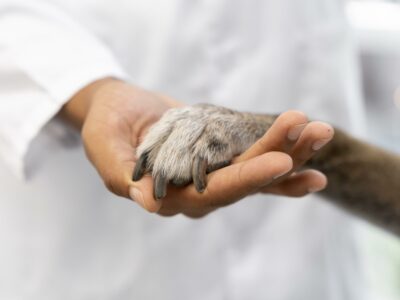 Curso em modalidade presencial tem carga horária de 1.200 horas, que serão distribuídas ao longo de três semestres I Foto: Freepik