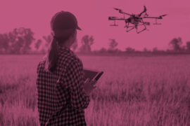 Cursos estão atraindo filhos de pequenos agricultores e jovens interessados na gestão do agronegócio l Foto: Freepik