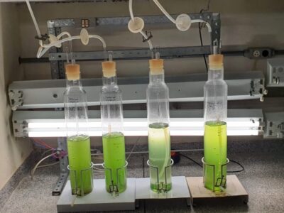 Resultados indicaram boa aderência, especialmente em tecidos sintéticos, além de durabilidade e atratividade | Foto: Divulgação