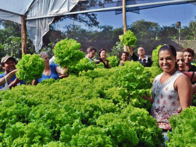 Cultivo de alface e outras hortaliças faz parte do currículo do curso criado por Roger Oliveira| Foto: ONG Ato Cidadão/Divulgação