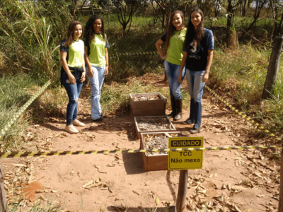 A partir da esquerda: Estefani, Fernanda, Beatriz e Amanda, as estudantes responsáveis pela pesquisa |Foto: Divulgação