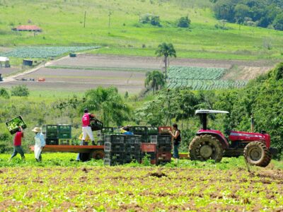 Região de Mogi das Cruzes, produtora de hortifrúti, é conhecida como cinturão verde do Estado de São Paulo | Foto: Gastão Guedes