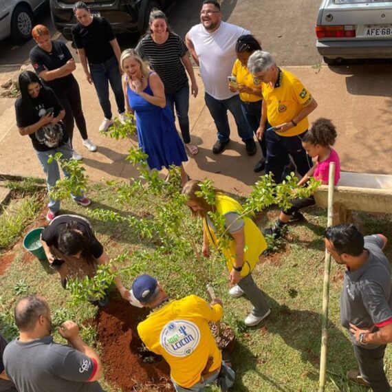 Equipe da Fatec Tatuí promoveu plantio de 10 espécies de árvores afetadas pelo fogo recente | Foto: Divulgação