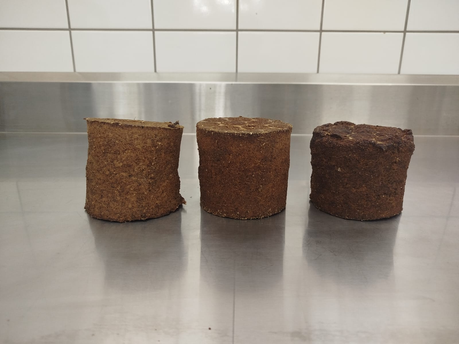 Blocos prensados na briquetadeira: reaproveitamento de resíduos vegetais em processo que dispensa uso de energia | Foto: Divulgação