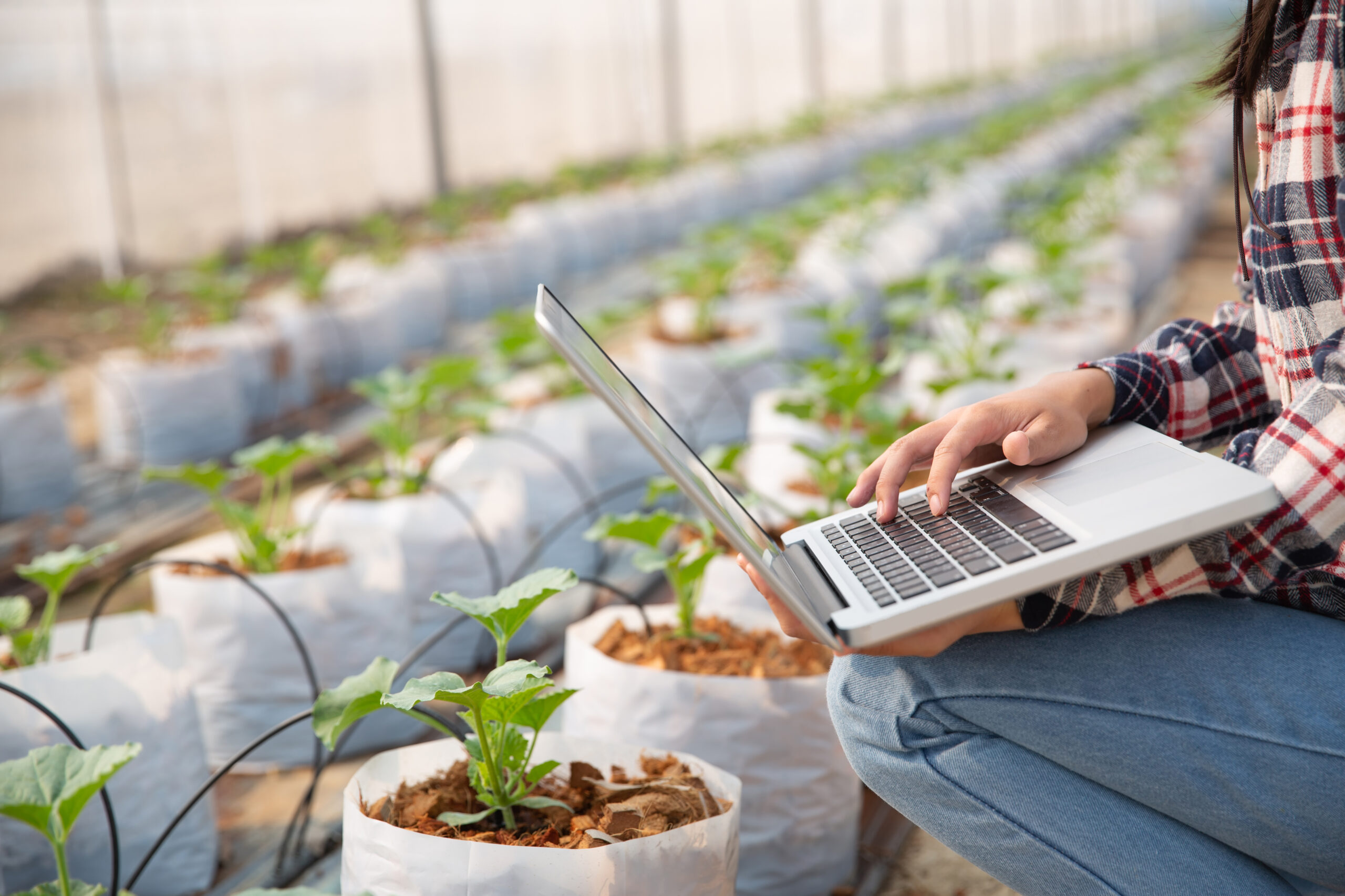 Evento abordará a viabilidade de implantação de novas tecnologias aliadas à sustentabilidade do setor agrícola l Foto: Freepik