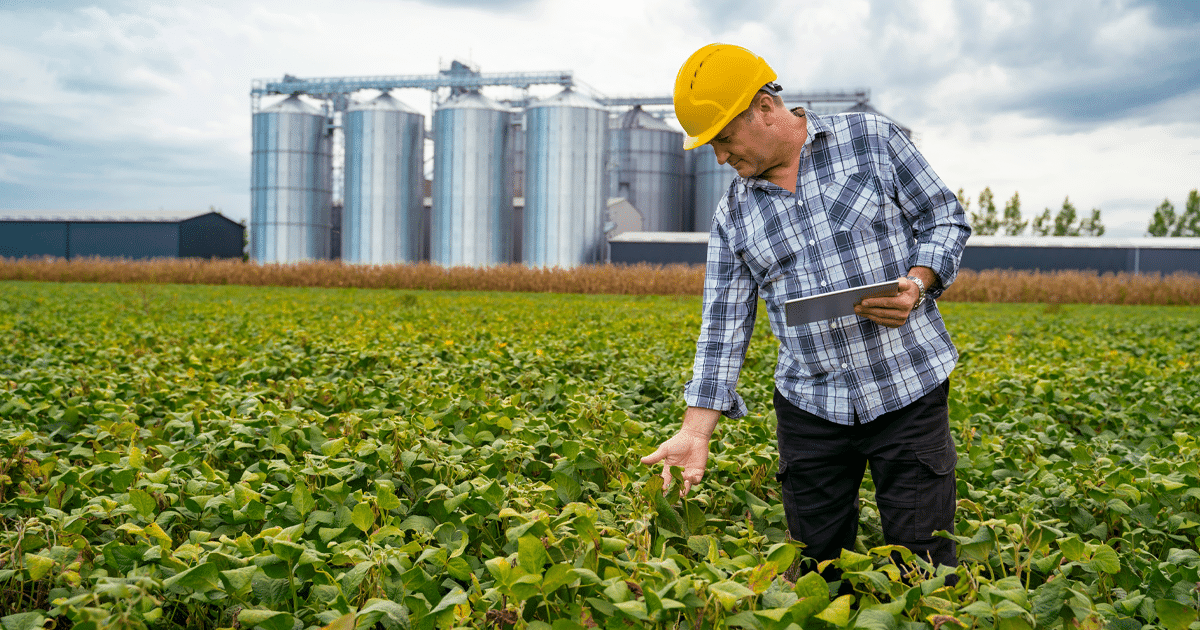 Curso Agronegócio