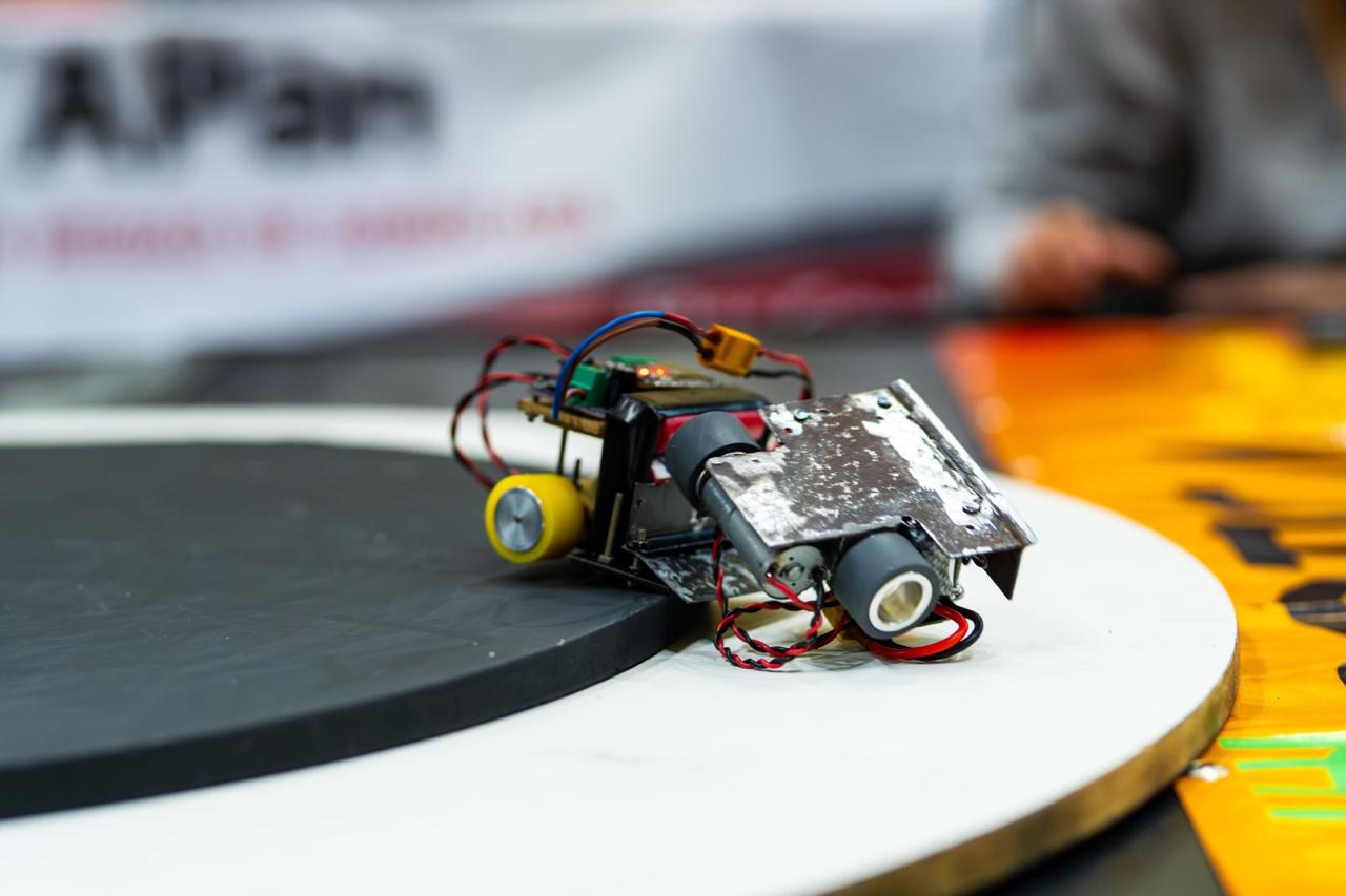 Mini Sumô 2025 - Foto 12